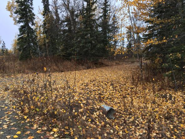 63760 Tailwind Rd, Ninilchik, AK 99639